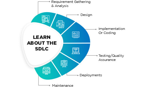 Learn about the SDLC