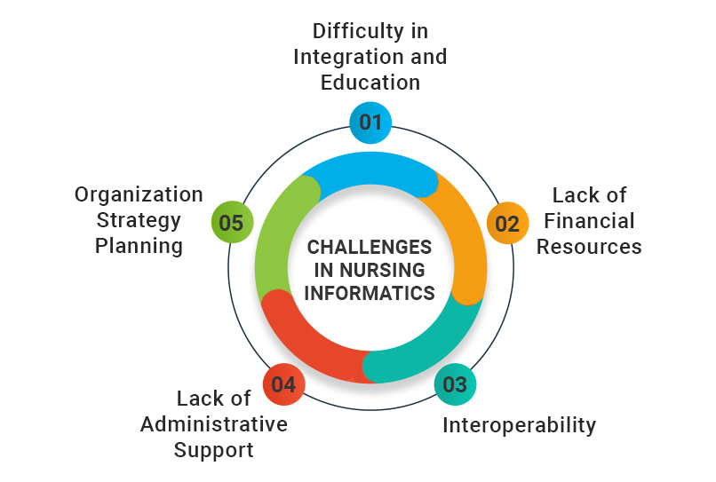 Challenges in Nursing Informatics 
